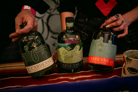 Cardenxe Sotol de Pradera